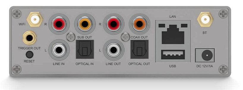 Rear back panel of Arylic S50 Pro+