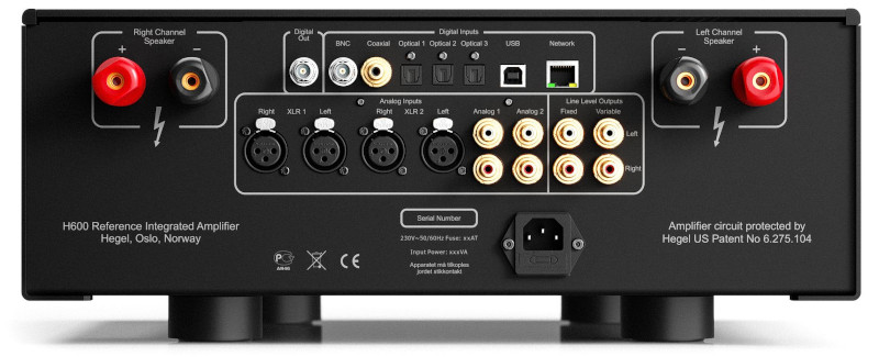 Rear back panel of Hegel H600