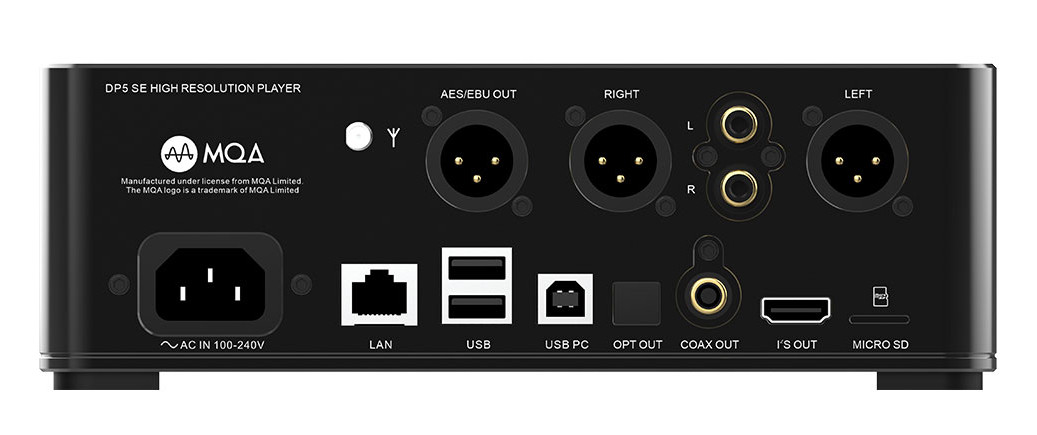 Rear back panel of SMSL DP5SE