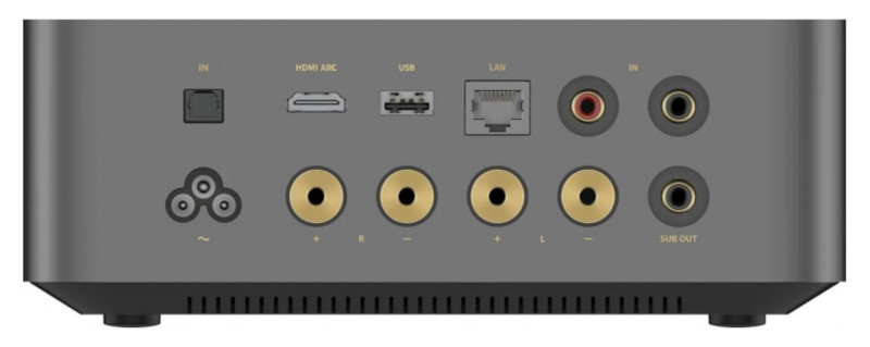 Rear back panel of WiiM Amp Ultra